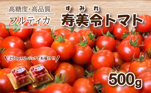 【 5月発送 】 寿美令トマト フルーツトマト 500g ( 250gパック×2 ) 選べる 発送 月 野菜 プチトマト 小分け 新鮮 トマト 期間限定 季節限定 下関 山口