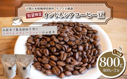 【浅煎り】 訳あり コーヒー豆 800g ( 400g × 2袋 )  数量限定 インドネシア 珈琲 自家焙煎 下関 山口