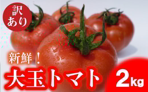 トマト 大玉 訳あり 2kg 野菜 産地直送 お試し 高糖度 リコピン ビタミンC 美容 ご自宅用 栄養 甘い おいしい 下関 山口 【2026年4月からの発送】【 期間限定 】