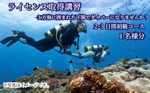 初級 スキューバダイビング ライセンス取得コース Cカード チケット マリンスポーツ 海 下関 山口