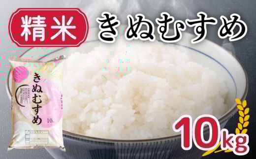 新米 きぬむすめ 10kg 精米 大容量 米 お届け回数1回 お米 1回お届け 白米 直前精米 精米したて 豊田町 下関 山口 【 10月以降発送  】