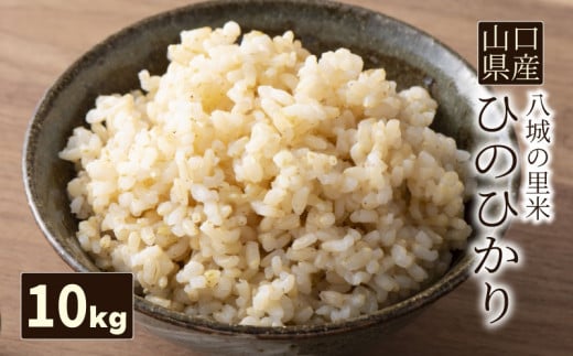 [先行予約][1回お届け]ひのひかり 玄米 10kg 令和7年度米