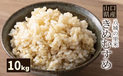 【1回お届け】きぬむすめ 玄米 10kg  令和7年度米