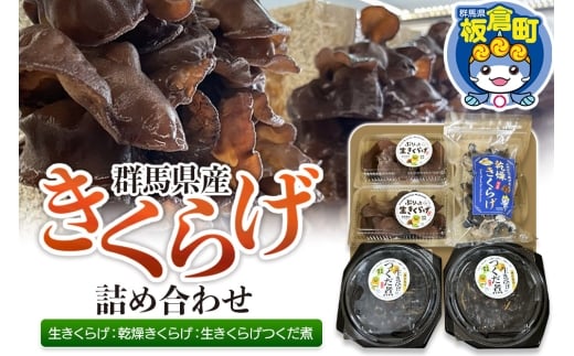 きくらげ 詰め合わせセット 群馬県産【生きくらげ 乾燥きくらげ つくだ煮】3種 計5個