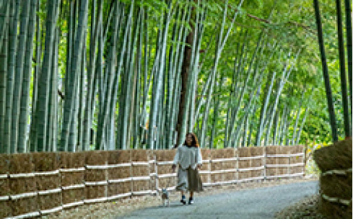 ⑤緑につつまれ、安全で快適な住みやすいまちづくり