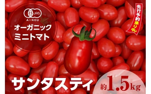 ★先行予約★　オーガニックミニトマト（サンタスティ）約1.5kg ／ とまと 野菜 高糖度 スナックタイプ 愛知県 特産品
