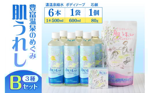 豊富温泉 濃縮温泉水サロベツ大地恵泉 (500ml×6本) ＋ ボディソープ (600ml×1個) ＋ 石けん(約80g×1個) セット