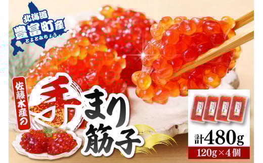 佐藤水産 手まり筋子120g×4個セット 合計480g【KAT-305】