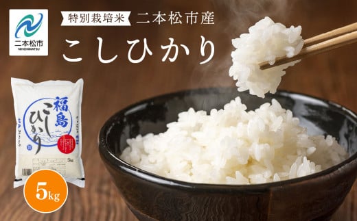 令和7年産 こしひかり5kg 米 精米 コシヒカリ 5kg 特別栽培 お米 こめ おすすめ お中元 お歳暮 ギフト 二本松市 ふくしま 福島県 送料無料【株式会社あだたら米】
