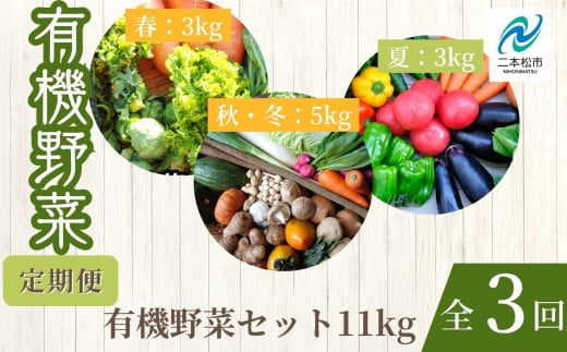 【定期便】全3回!季節の有機野菜セット  オーガニック 有機栽培 有機 有機JAS 有機野菜 野菜セット 野菜 サラダ 定期便 おすすめ お中元 お歳暮 ギフト 二本松市 ふくしま 福島県 送料無料【一般社団法人二本松有機農業研究会】