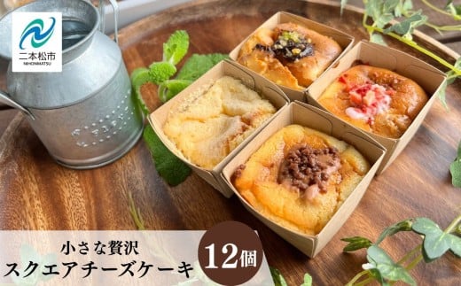 小さな贅沢!スクエアチーズケーキ12個セット ベイクド チーズ ケーキ ベイクドチーズケーキ 会津産 スイーツ おすすめ お中元 お歳暮 ギフト 二本松市 ふくしま 福島県 送料無料【ジェーケーワンフーヅ株式会社】