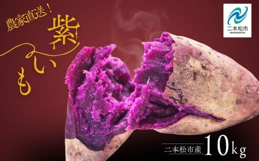 《10月中旬以降順次発送》農家直送！とろける濃密紫いも10kg 野菜 芋 いも 紫いも むらさきいも お芋 10キロ 10kg 人気 名産 ねっとり 甘い 甘味 国産 産地直送 おすすめ お中元 お歳暮 ギフト 二本松市 ふくしま 福島県 送料無料【ADATARAふぁーむ】