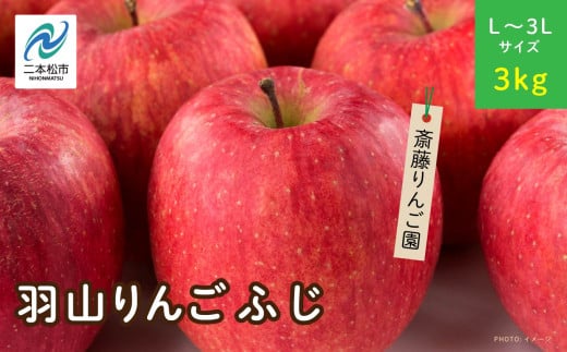 《2025年11月下旬以降順次》羽山のりんご　ふじL〜3Lサイズ3kg りんご リンゴ 果物 フルーツ 羽山りんご 3kg ふじ 人気 くだもの おすすめ お中元 お歳暮 ギフト 二本松市 ふくしま 福島県 送料無料【斎藤りんご園】