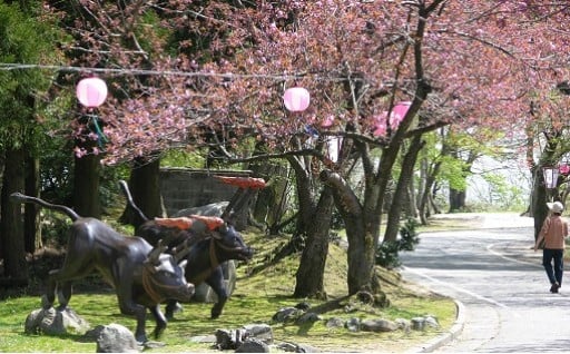 ふるさとおやべの自然環境・景観の保全を支援