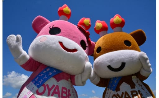 メルギューくん・メルモモちゃんの小矢部市ＰＲ活動を支援