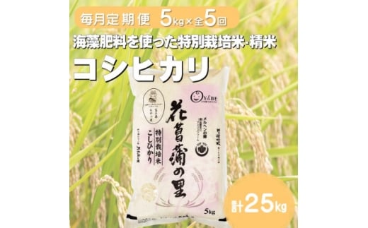 ＜毎月定期便＞特別栽培米コシヒカリ(花菖蒲の里)(精米)5kg全5回【4075013】