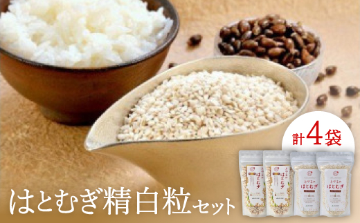 はとむぎ精白粒セット(大粒200g×2袋、砕粒500g×2袋)【1291665】