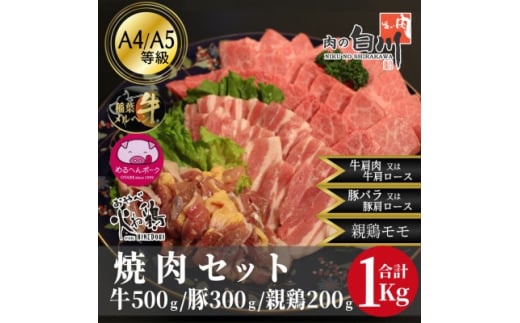 おやべのお肉焼肉セット1kg(和牛カルビ500g・豚300g・親鶏200g)【1291450】