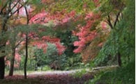 ⑧町長におまかせ