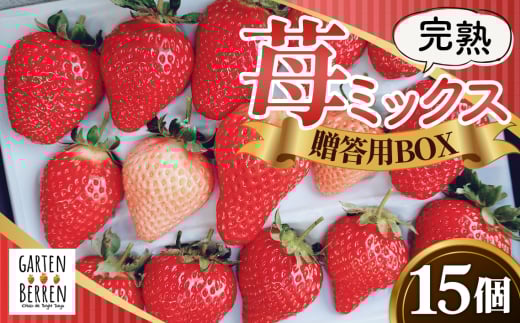 No.399 完熟苺ミックス15粒贈答用BOX / 厳選 大粒 イチゴ いちご 果物 フルーツ 大阪府 特産品
