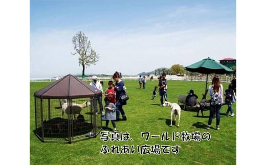 No.177 ワールド牧場入場無料券ペア1組 / 入場券 テーマパーク 動物 大阪府