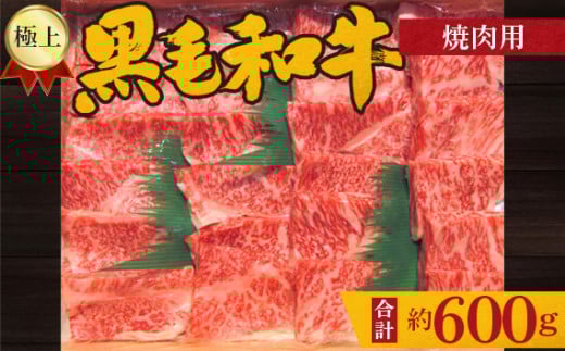 No.213 極上　黒毛和牛　焼肉用肉　計約600g ／ 牛肉 やきにく ロース 大阪府 特産品