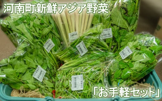 No.332 河南町新鮮アジア野菜「お手軽セット」 ／ 唐辛子 パクチー バジル 大阪府