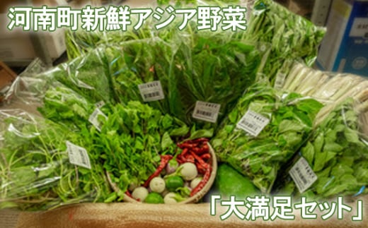 No.334 河南町新鮮アジア野菜「大満足セット」 ／ 唐辛子 パクチー バジル 大阪府