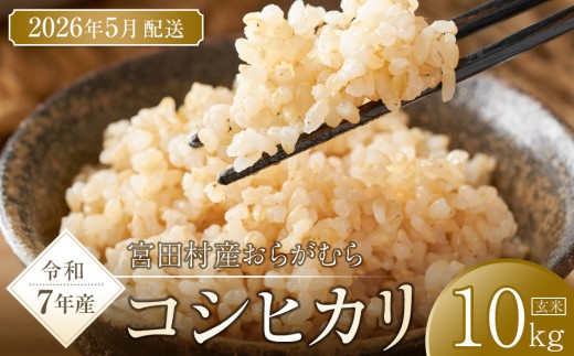 【予約受付】【令和７年米】長野県宮田村産コシヒカリ／玄米／10kg・19,000円／令和８年5月配送