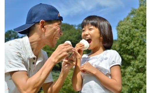 【令和7年米】長野県産『一等米』信州 南アルプス 大地の恵コシヒカリ１０ｋｇ