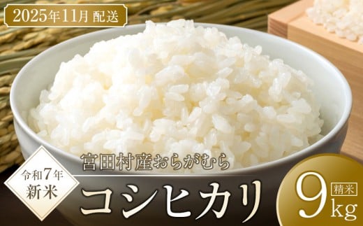 [予約受付][令和7年米][新米]長野県宮田村産コシヒカリ/精米/9kg・20,000円/11月配送