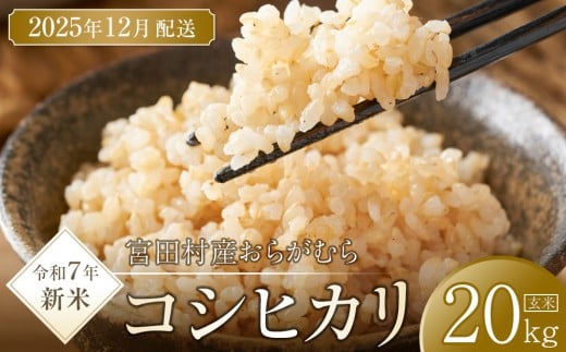 【予約受付】【令和7年米】【新米】長野県宮田村産コシヒカリ/玄米/20kg・46,000円/12月配送