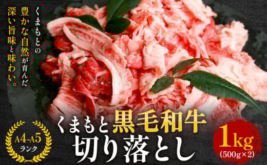 【A4~A5】くまもと黒毛和牛 切り落とし 1kg 《30日以内に出荷予定(土日祝除く)》 牛肉 くまもと黒毛和牛 黒毛和牛 冷凍庫 切り落とし