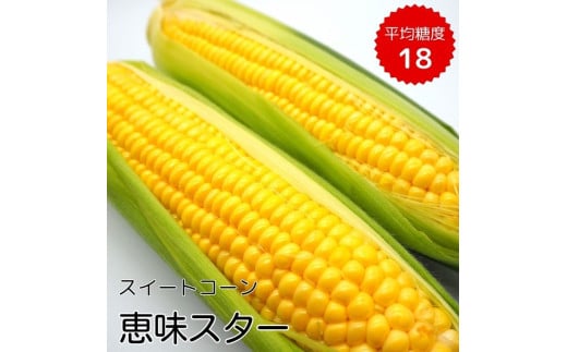 《2026年発送》朝採り とうもろこし スイートコーン「恵味スター」5kg（10～13本） ／ とうもろこし トウモロコシ コーン スイートコーン 恵味スター 5kg 産地直送 産直 送料無料