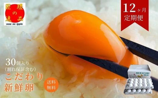 【定期便12回】九十九里ファームこだわりたまご贈答用30個～あおい海・みどりの里～《白玉》 30個 たまご 卵 玉子 タマゴ 卵かけご飯 新鮮 旨み 甘み 贈答用 贈答 ギフト 贈り物 千葉県 匝瑳市
