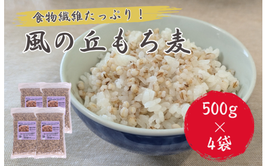 風の丘もち麦　2kg（500g×4袋） ／ もち麦 麦 むぎ 大麦 雑穀 雑穀米 もち麦ごはん 麦ごはん 食物繊維