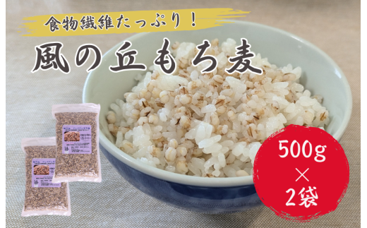 風の丘もち麦　1kg（500g×2袋） ／ もち麦 麦 むぎ 大麦 雑穀 雑穀米 もち麦ごはん 麦ごはん 食物繊維