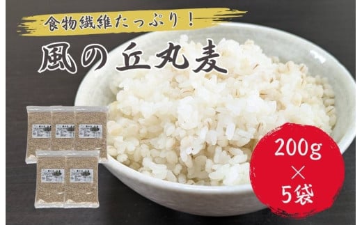 風の丘丸麦　1kg（200g×5袋） ／ 丸麦 麦 むぎ 大麦 雑穀 雑穀米 麦ごはん 麦みそ 麦味噌 食物繊維
