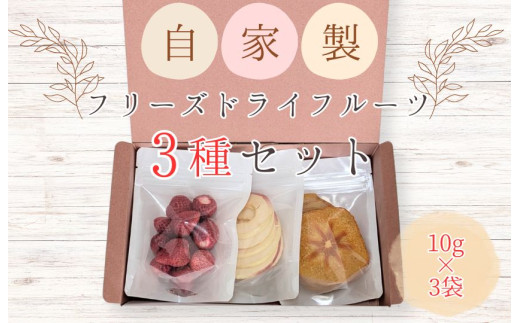 メルカドレグメス フリーズドライフルーツ 3種セット / フリーズドライフルーツ フリーズドライ フルーツ 果物 くだもの いちご イチゴ 苺 柿 かき カキ りんご リンゴ 林檎 バナナ 自家製 セット 詰め合わせ