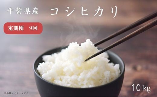 【定期便9回】《 令和7年産 》千葉県産コシヒカリ10kg ／ 米 こめ コメ お米 おこめ コシヒカリ こしひかり 令和7年 新米 白米 精米 ごはん 10kg 定期便 送料無料