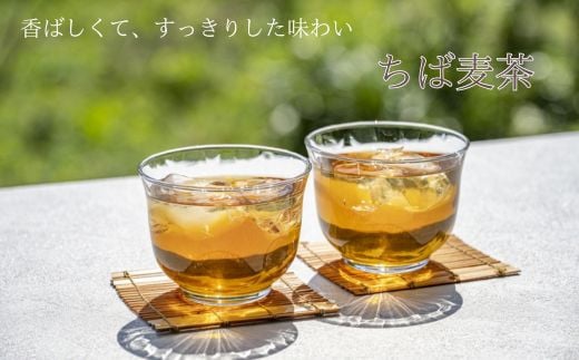 千葉県産大麦使用 ちば麦茶 240個 40ティーパック入り×6個 麦茶 むぎ茶 ムギ茶 大麦 国産 千葉県 匝瑳市