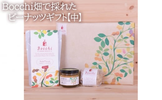 Bocchi畑で採れたピーナッツギフト【中】 ／ 落花生 ペースト なめらか 千葉県