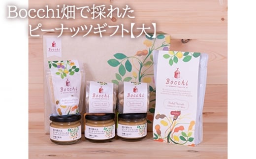 Bocchi畑で採れたピーナッツギフト【大】 ／ 落花生 ペースト なめらか 千葉県