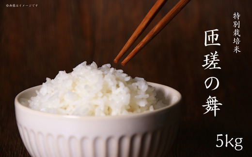 令和7年産　米　5kg　匝瑳の舞　精米 ／ お米 コメ こめ ごはん ふさこがね 白米 精米 5kg チバエコ 特別栽培 新米 千葉県 匝瑳市