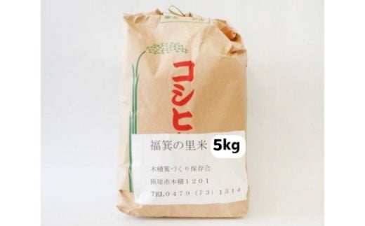 300年伝統の里　福箕の里米5kg ／ お米 精米 こしひかり コシヒカリ 千葉県