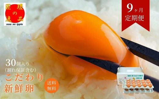 【定期便9回】九十九里ファームこだわりたまご贈答用30個～あおい海・みどりの里～《赤玉》 30個 たまご 卵 玉子 タマゴ 卵かけご飯 新鮮 旨み 甘み 贈答用 贈答 ギフト 贈り物 千葉県 匝瑳市