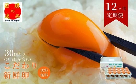 【定期便12回】九十九里ファームこだわりたまご贈答用30個～あおい海・みどりの里～《赤玉》 30個 たまご 卵 玉子 タマゴ 卵かけご飯 新鮮 旨み 甘み 贈答用 贈答 ギフト 贈り物 千葉県 匝瑳市