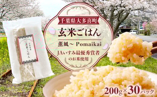 玄米ごはん２００g×３０　ふるさと納税 米 こめ コメ ごはん ご飯 コシヒカリ 玄米 200g 6パック セット 5箱 計30個 長期保存 常温 無添加 お弁当 キャンプ 備蓄 非常食 千葉県 大多喜町 KKP06001