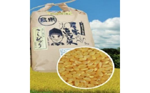 令和6年産　大多喜町産コシヒカリ玄米10ｋｇ、年間12回お届け T15004