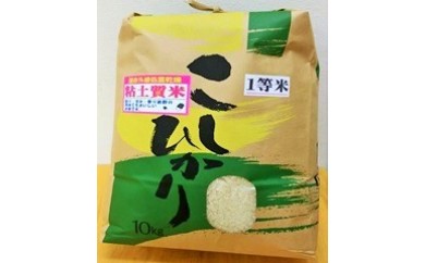 令和6年産 大多喜町産コシヒカリ精米10ｋｇ、年間12回お届け T17001